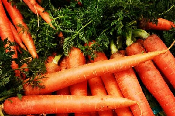 Carotte fanes (1 botte)