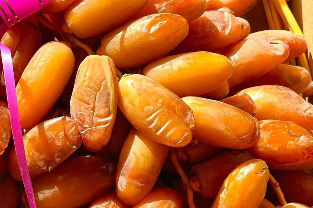 Dattes Deglet Nour (500g)