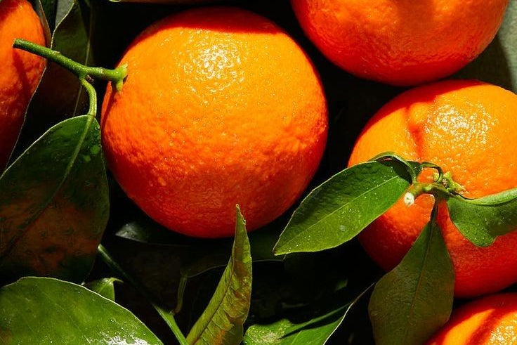 Orange à feuille du Portugal (1kg)