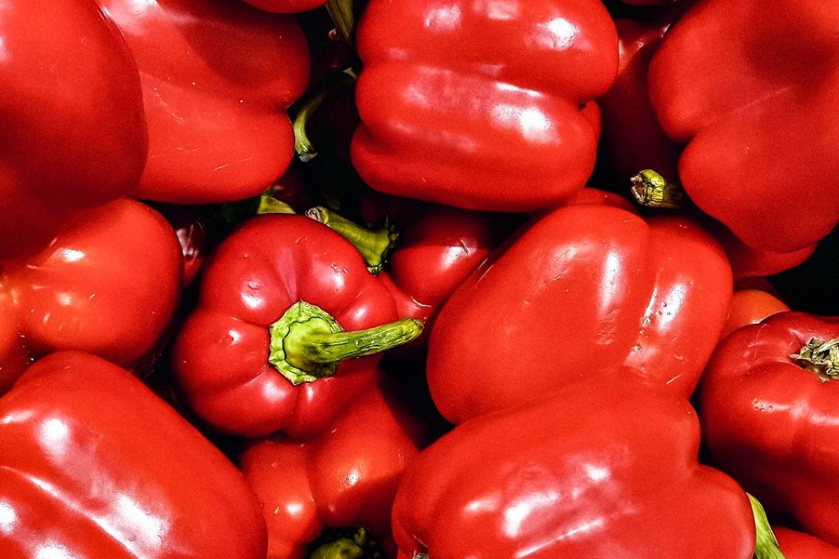 Poivron rouge (500g)