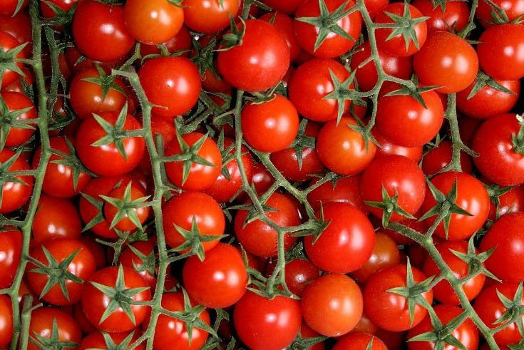 Tomate cerise (500g)