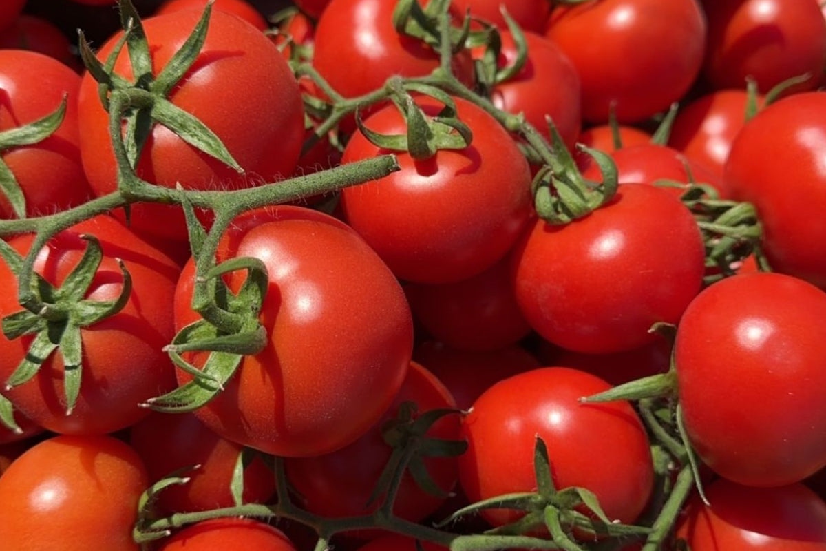 Tomate grappe (1kg)