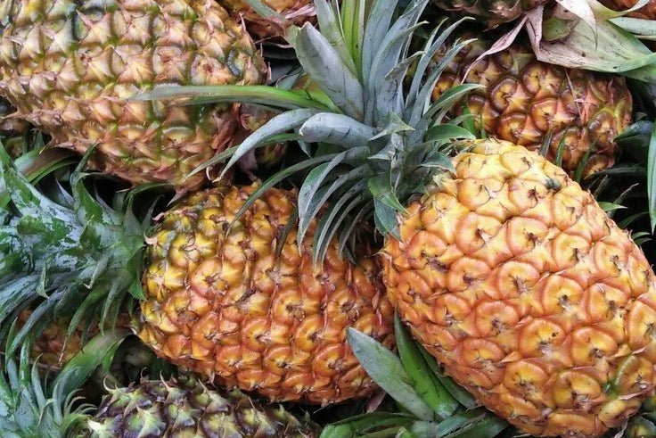 Ananas (1 pièce)