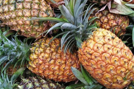 Ananas (1 pièce)