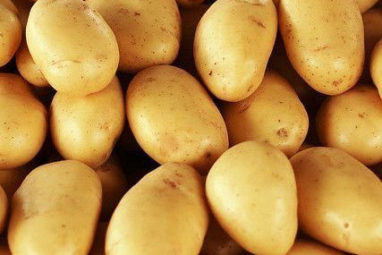 Pommes de terre Charlotte (1kg)