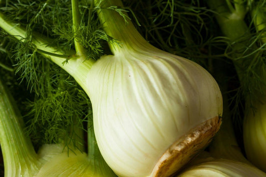 Fenouil (1 pièce)