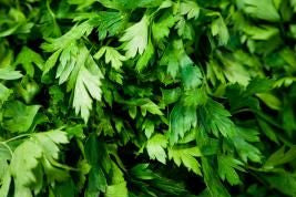 Persil frais (1 bouquet)