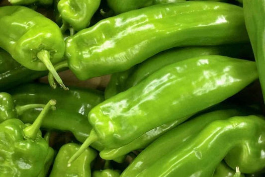 Poivrons vert corne de bœuf (500g)