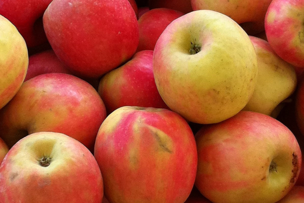 Pomme Pink Lady (1kg)
