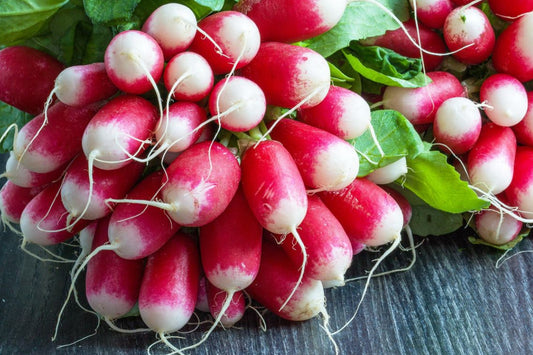 Radis rouge (1 botte)