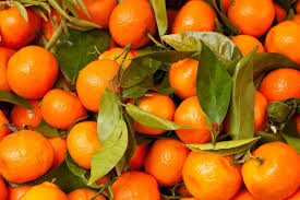 Clémentine à feuille du Portugal (1kg)