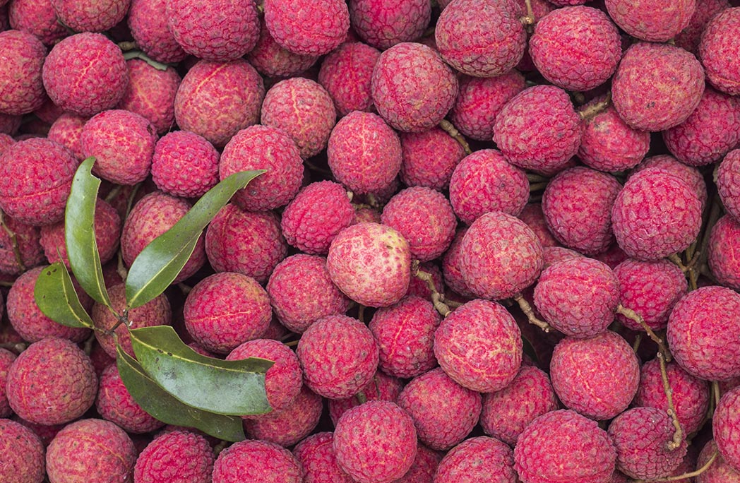 Litschi